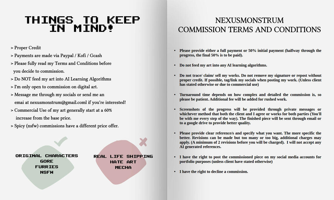 TERMS AND CONDITIONS